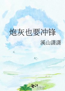《炮灰也要冲锋》